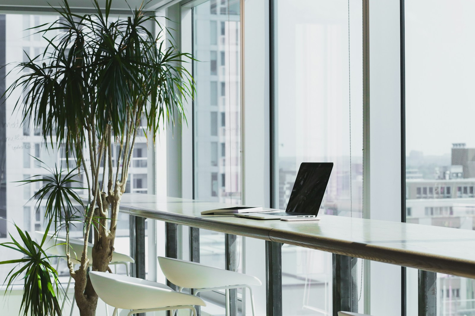 Evening light in the AudienceRipple studio at Tanjong Pagar Distripark with desks and harbour-facing windows